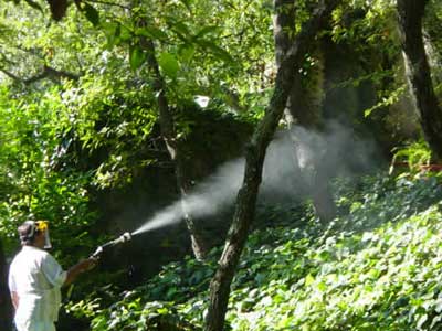 Pest control with ESS electrostatic sprayer