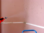building restoration and mold remediation